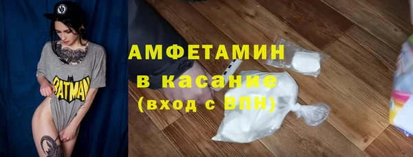 прущие грибы Гусев