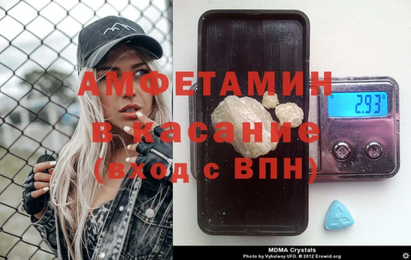 прущие грибы Гусев