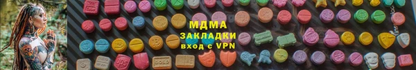 прущие грибы Гусев