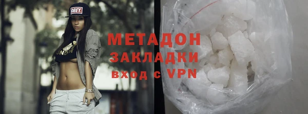 прущие грибы Гусев