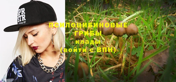 прущие грибы Гусев