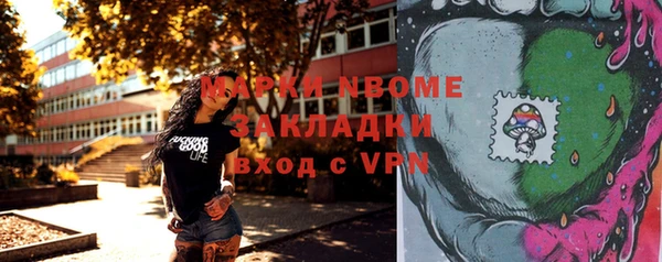 прущие грибы Гусев