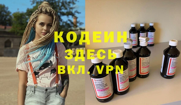 прущие грибы Гусев