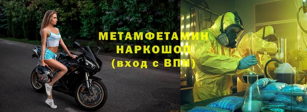 прущие грибы Гусев