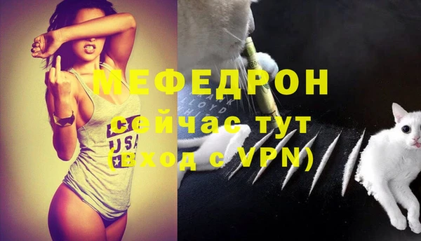прущие грибы Гусев