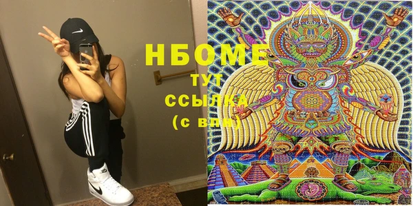 прущие грибы Гусев
