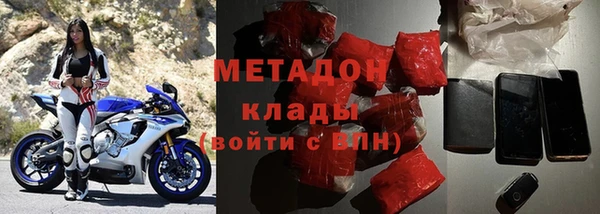прущие грибы Гусев