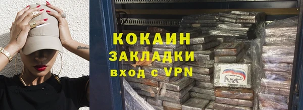прущие грибы Гусев