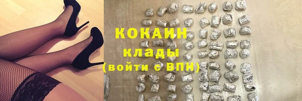 прущие грибы Гусев